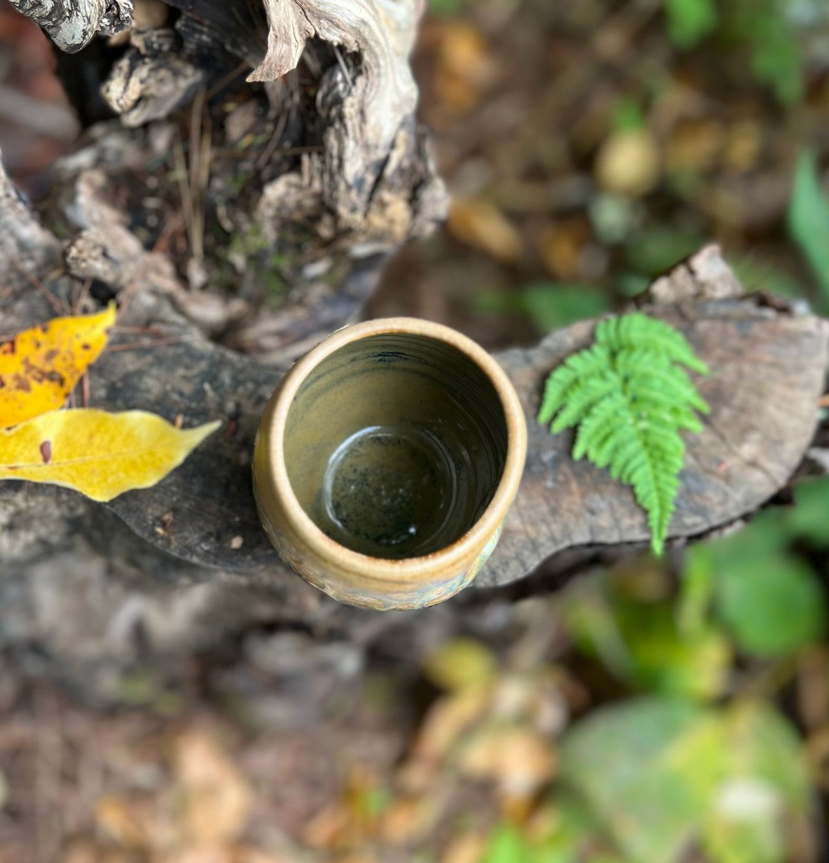 10oz tumbler thumb cup or sipper