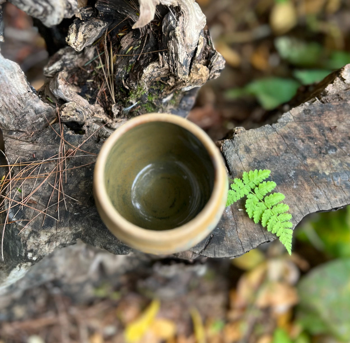 10 oz thumb cup or sipper